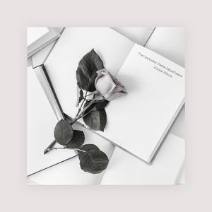 九九这里有精品
